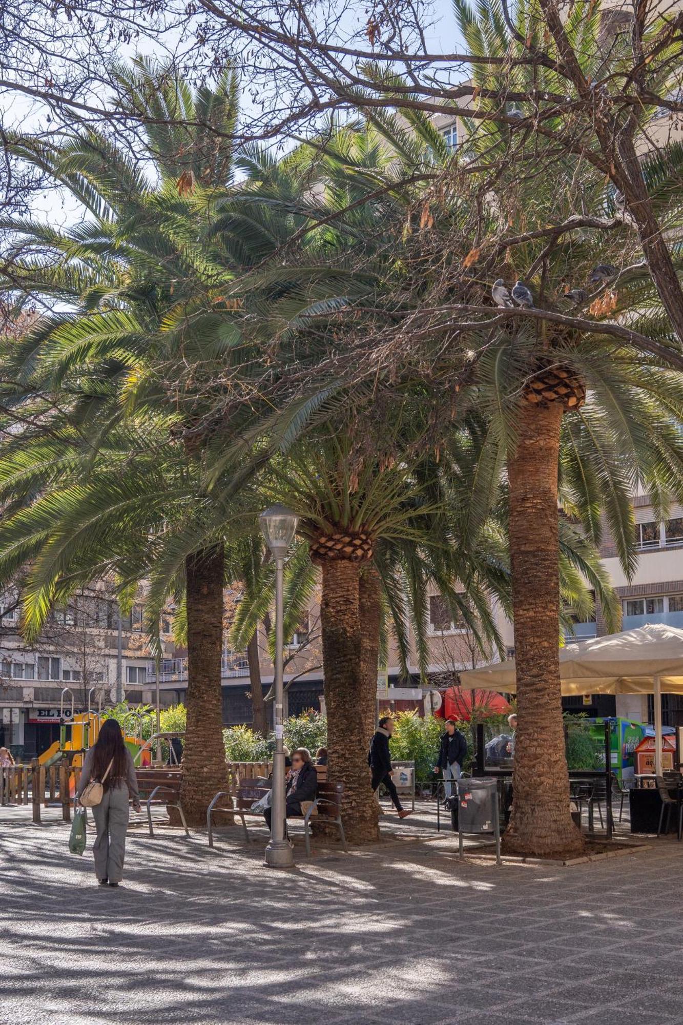 La Plaza, En El Centro Facil Acceso Y Parking Cercano Granada Ngoại thất bức ảnh